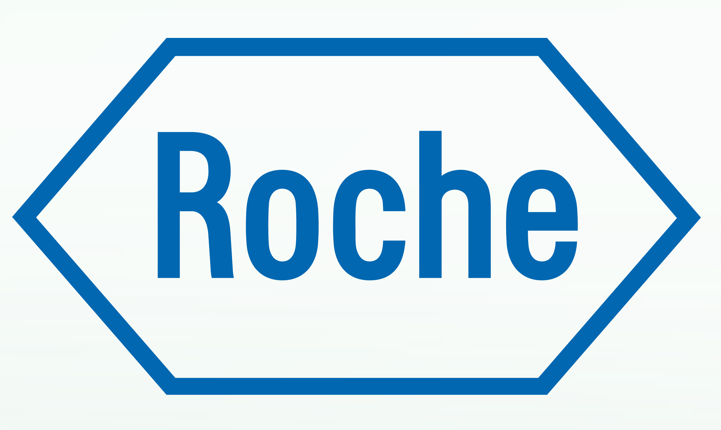 Roche 2019